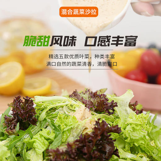 月度套餐组合开袋即食按时送11种新鲜蔬菜混合沙拉管理期轻食代餐 商品图3
