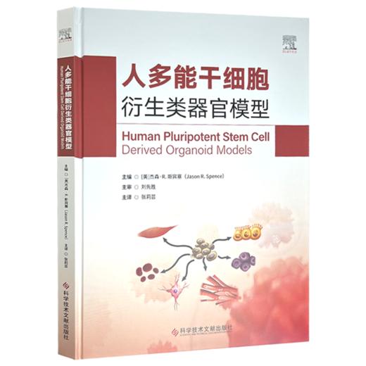 人多能干细胞衍生类器官模型 张莉芸 主译 本书全面介绍了多种类器官构建的流程和技术要点 9787523526880 科学技术文献出版社 商品图1