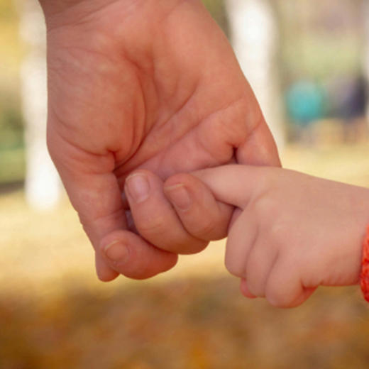 情商的种子 商品图0