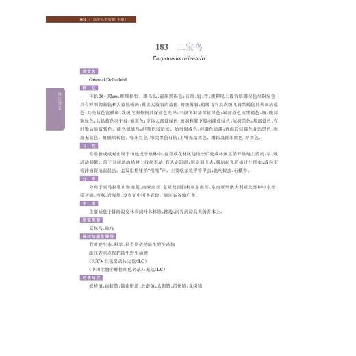 临安鸟类资源（下册）/徐卫南 程爱 林厉亮 主编/浙江大学出版社 商品图3