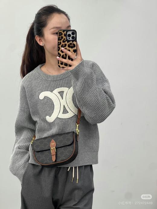 Celin*e新款马鞍包 商品图5