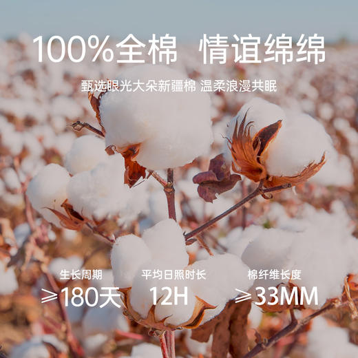 臻品系列全棉刺绣禧嫁四件套(美丽红妆) 商品图3