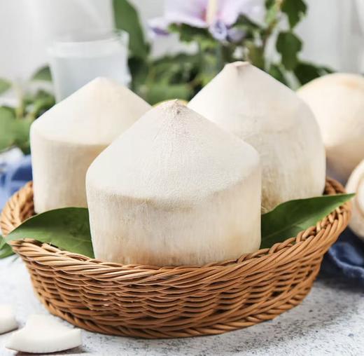 BJQX泰国椰青4粒装礼盒【分仓直发，72小时发货，周末节假日不发货】 商品图0