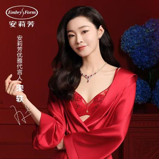 3楼安莉芳安莉芳新品【宋轶同款】网纱刺绣女士小胸聚拢 无钢圈上托文胸EB00953 商品图0