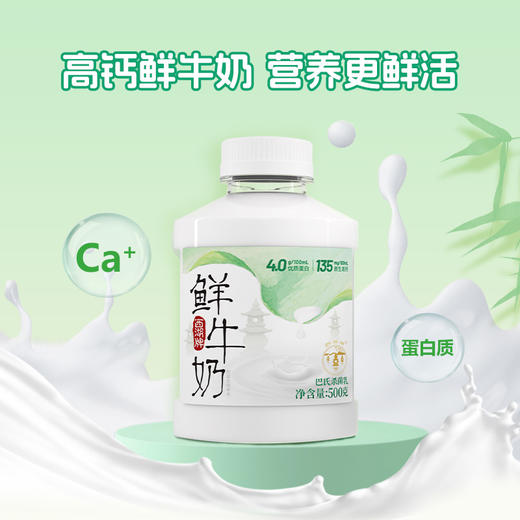 “中华老字号” 西湖牌鲜牛奶 4.0优质乳蛋白 135mg原生高钙 浙食链溯源 巴氏杀菌乳  冷链配送 500g*5瓶 商品图4