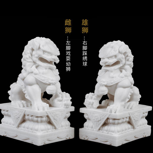 天禄-北方狮子 商品图5