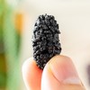 得幸造物大粒桑葚|自然生晒，5斤才出1斤！泡水、煮茶清甜回甘 商品缩略图3