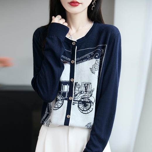 马车提花针织打底衫，洋气女装毛衣CC-XIX-TN112 商品图3
