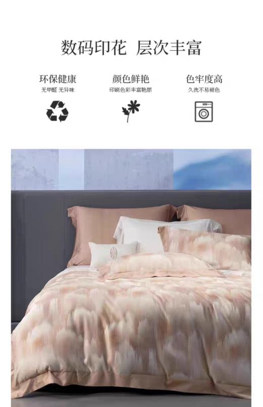 惠谊现代中式保暖磨毛数码印花天丝棉四件套 空山芸彩 商品图3