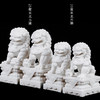 天禄-北方狮子 商品缩略图9