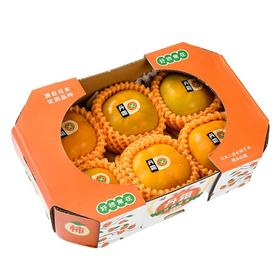 富有柿礼盒 1.2kg/盒