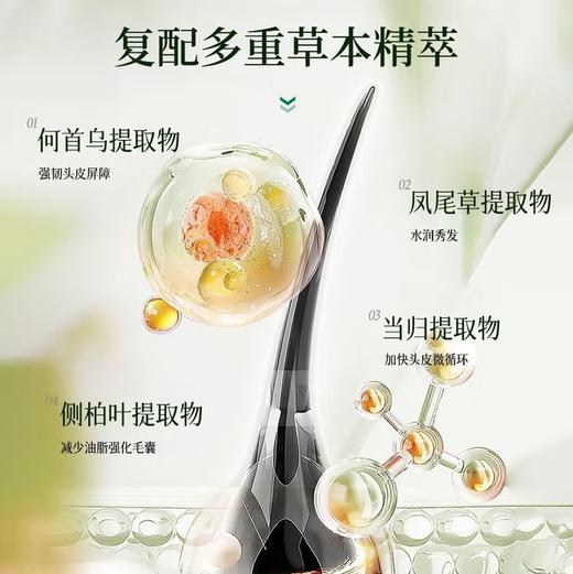 【新品上线 买2瓶送护发素1瓶】敬修堂草本防脱精华洗发水 防脱护发蓬松滋养植物洗发 商品图1