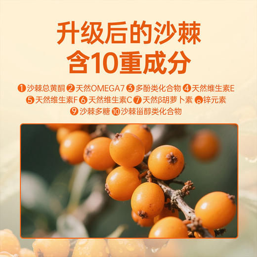 【9:30下架】【钜惠福利！买9赠1，到手10盒！加赠1盒枸杞原浆！】培恩元沙棘黄酮直饮粉｜基地直邮 商品图2