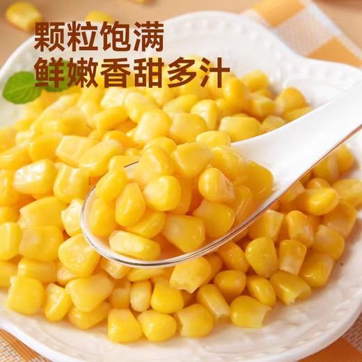 【BF】塞牧清甜玉米粒500g/袋 商品图1