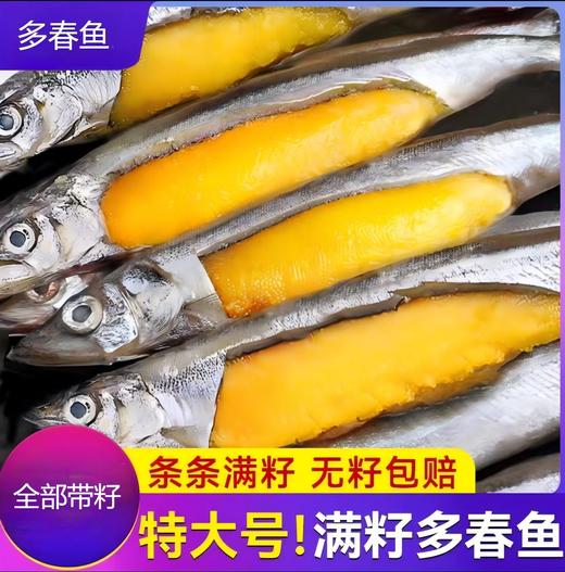 【满籽多春鱼】鱼籽饱满 肉质鲜嫩 原汁原味 商品图0