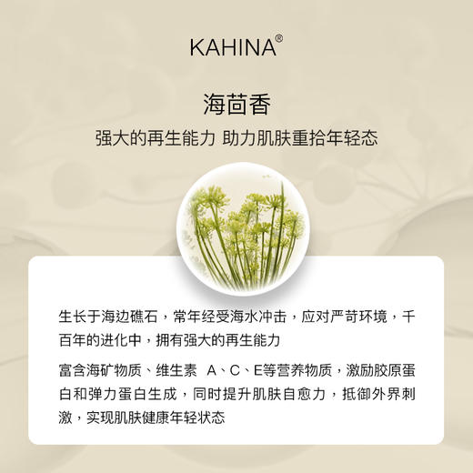 KAHINA 冻龄紧颜眼霜12ml 商品图2