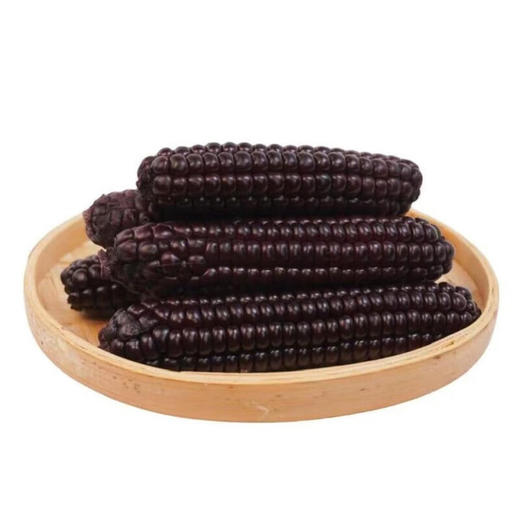 云南西双版纳紫拇指玉米2斤礼盒 软糯小玉米 商品图3