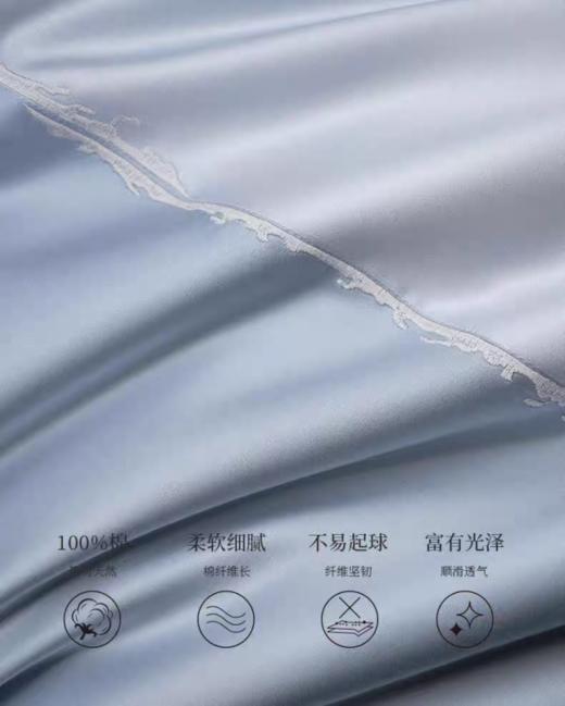 惠谊现代中式系列100支全棉新疆长绒棉刺绣四件套 望岳 商品图3