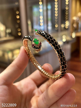 5222809，蛇手镯。具体价格微信咨询