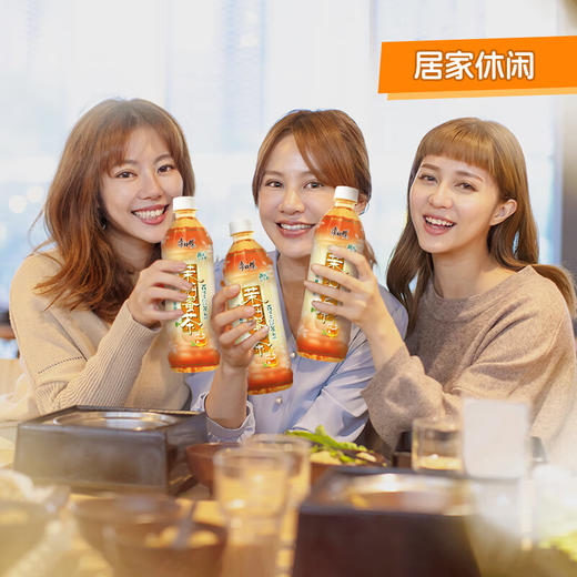 康师傅茉莉蜜茶 500ml 商品图2