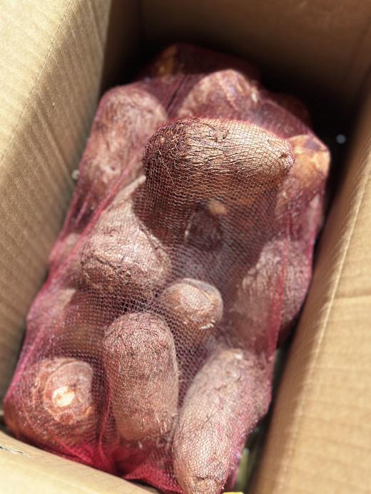 奶油小芋头  入口松软 粉糯入心 清甜溢口 商品图4