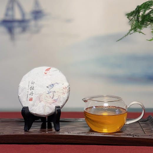 福鼎白茶白牡丹小饼100g 商品图3