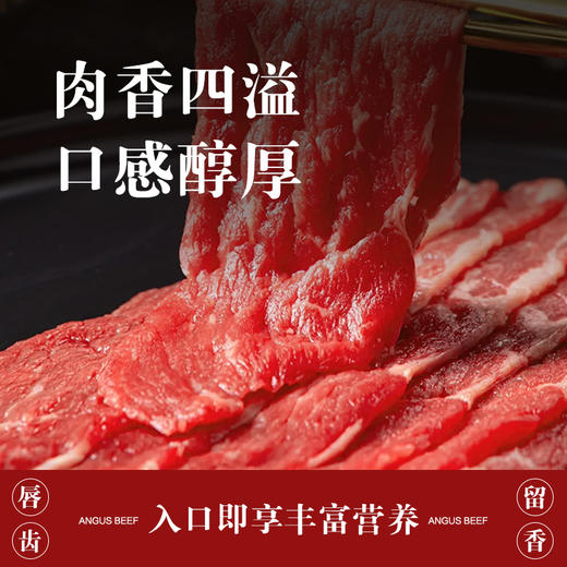 吉农纪阿根廷谷饲120天安格斯上脑薄切片 250g 商品图2