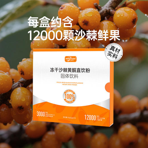 【9:30下架】【钜惠福利！买9赠1，到手10盒！加赠1盒枸杞原浆！】培恩元沙棘黄酮直饮粉｜基地直邮 商品图1