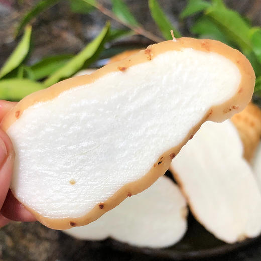 2025年新鲜采挖『云南玉龙雪山乌天麻』原生态仿野生种植，鲜嫩回甘，肉厚饱满，天麻素含量高 商品图2