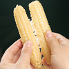 云南西双版纳白拇指玉米  软糯小玉米 商品缩略图3