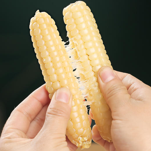 云南西双版纳白拇指玉米  软糯小玉米 商品图3