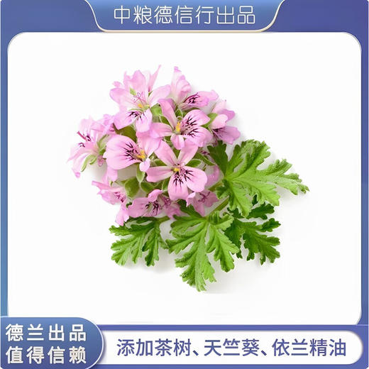 中粮德兰多重精油香氛沐浴露400ml（新老包装随机发货） 商品图2