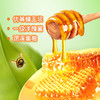 康师傅蜂蜜柚子 500ml 商品缩略图1