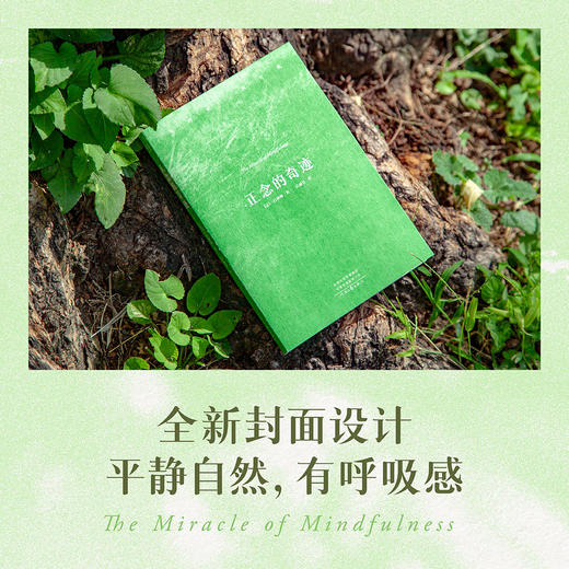 正念的奇迹（全球畅销超500万册的“心灵觉醒圣经” ） 商品图2