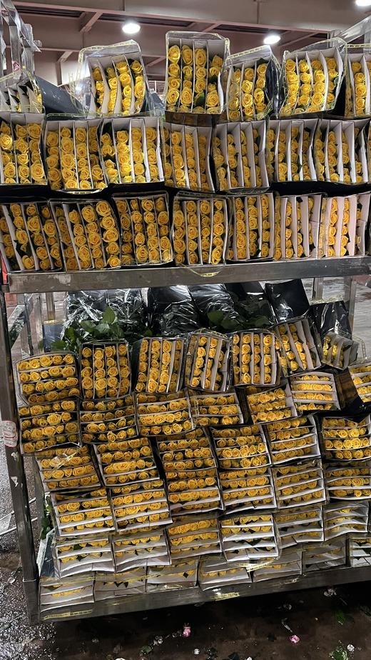 国产单头玫瑰花金枝玉叶10支 商品图3