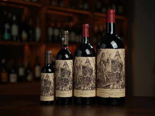 阿根廷卡帝娜使徒马尔贝克干红套装375ml+750ml+1.5L+3L 商品图1