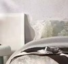 【云上38节】国补再省10%10楼恐龙   100%全棉生态磨毛四件套 若静-灰/ 艾丽-咖 200*230cm   吊牌价1580元   活动价399元 商品缩略图1