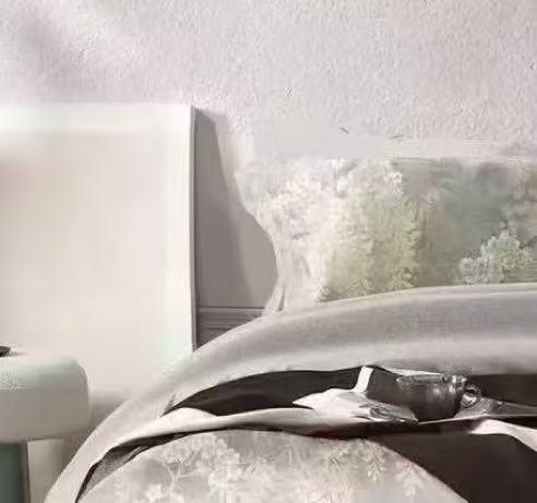 【云上38节】国补再省10%10楼恐龙   100%全棉生态磨毛四件套 若静-灰/ 艾丽-咖 200*230cm   吊牌价1580元   活动价399元 商品图1