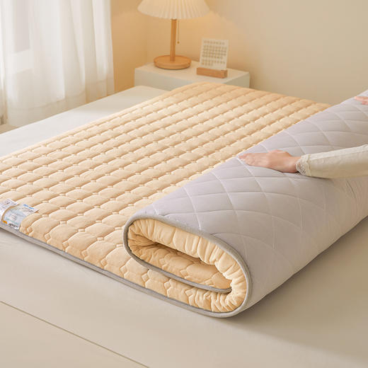 自然醒德芙绒记忆棉两用5厘米床垫垫子LN 商品图12