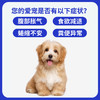 汉维宠仕硝复乐甲硝唑片宠物狗狗犬贾第虫猫滴虫拉稀消厌氧菌感染 商品缩略图2