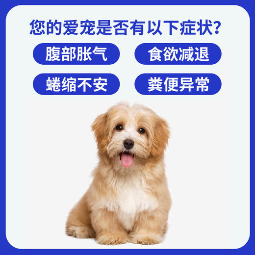 汉维宠仕硝复乐甲硝唑片宠物狗狗犬贾第虫猫滴虫拉稀消厌氧菌感染 商品图2