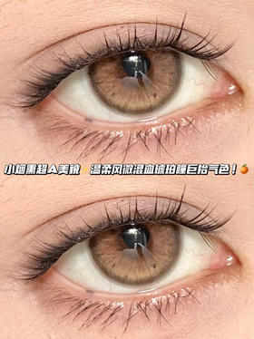 Aries 亚裔烟熏棕褐「含硅水凝胶」半年抛型