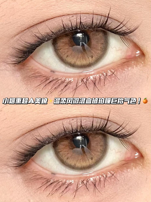 Aries 亚裔烟熏棕褐「含硅水凝胶」半年抛型 商品图0