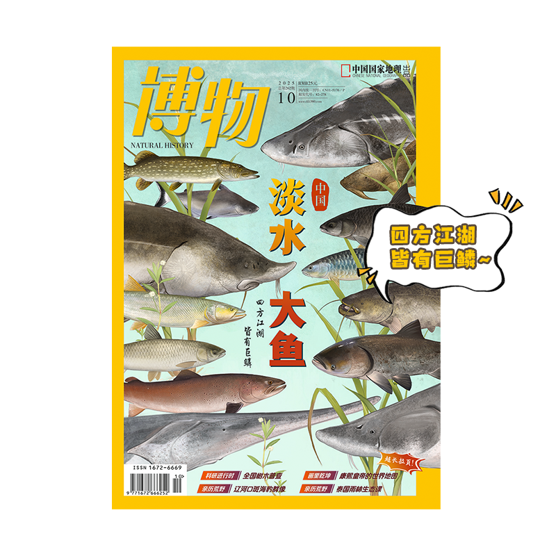 《博物》202510 淡水 大鱼 四方江湖 皆有巨鳞