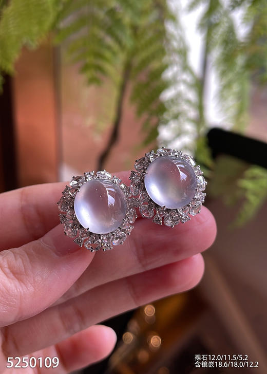 玻璃种蛋面耳钉【5250109】具体价格微信咨询 商品图1