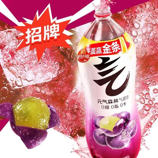 元气森林 气泡水夏黑葡萄2L*6瓶/箱 商品图1