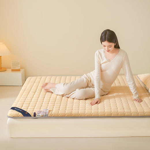 自然醒德芙绒记忆棉两用5厘米床垫垫子LN 商品图11