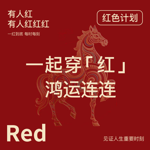 朱颜并蒂 舒适文胸套装(VIP)【鸿运礼盒装】反重力提拉无痕聚拢收副乳防下垂红色文胸套装 商品图3