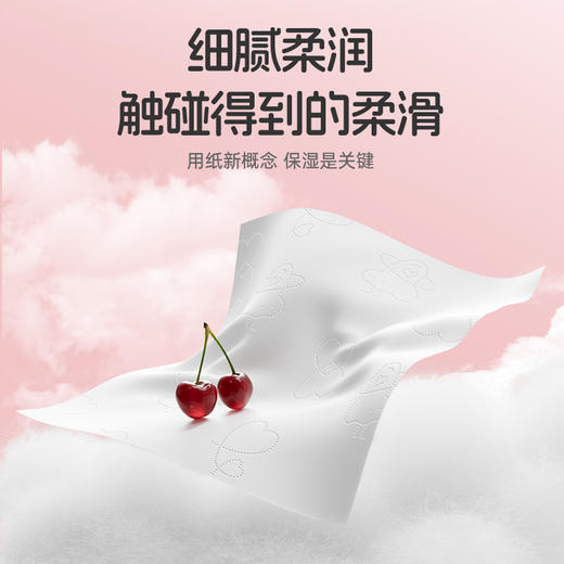 若禺牌水润系列6层300张丝柔软抽纸1件10包RR1602-B10 商品图1