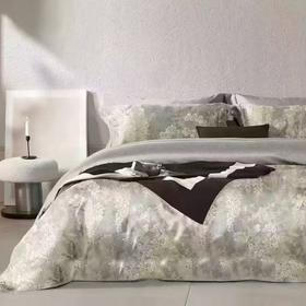 10楼恐龙   100%全棉生态磨毛四件套 若静-灰/ 艾丽-咖 200*230cm   吊牌价1580元   活动价399元